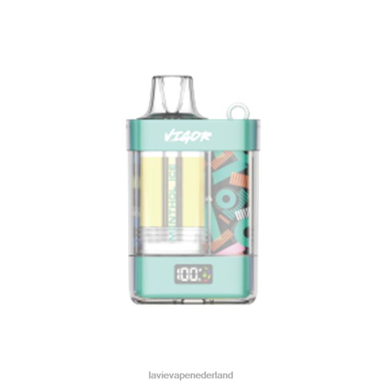 menthol-ijs LAVIE VIGOR 15000 trekjes Z8D002 | Lavie Vape Prijs